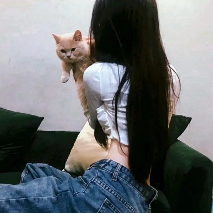新碧血剑
